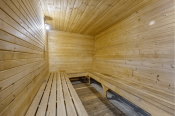 Sauna room